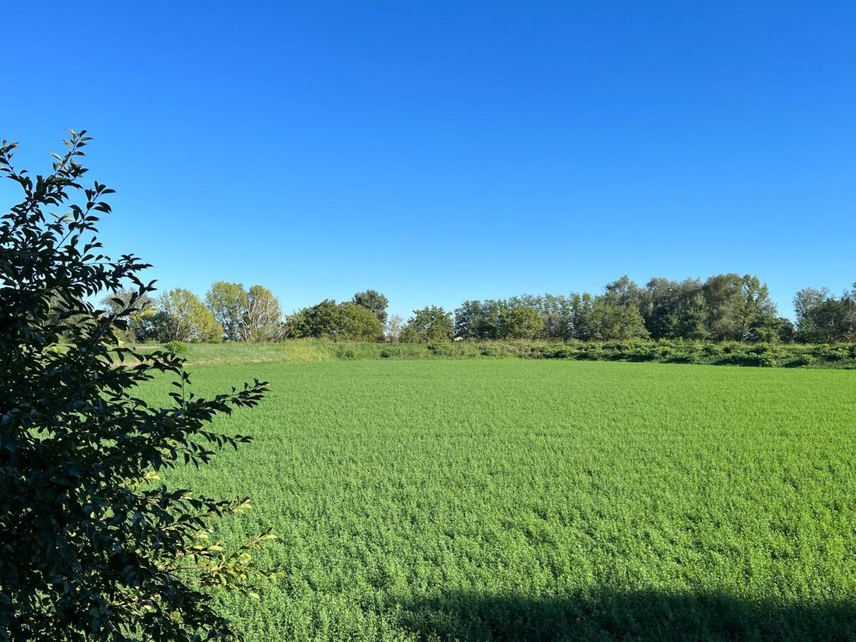 Appartamento confortevole, silenzioso con vista, centro raggiungibile a piedi come i ristoranti - Housity