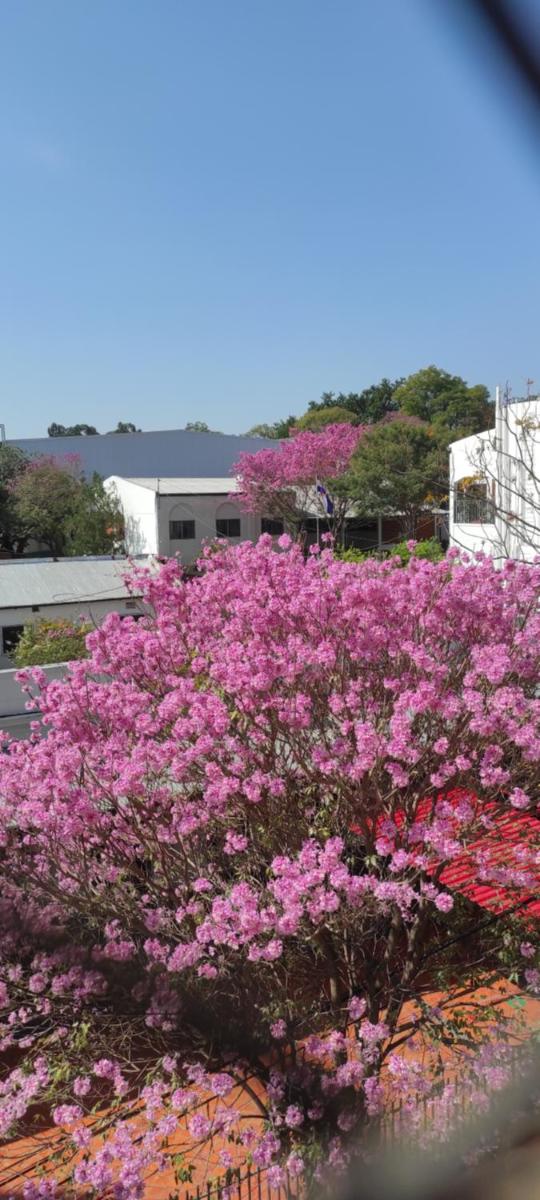 Departamento amoblado en Asunción - Paraguay - Housity
