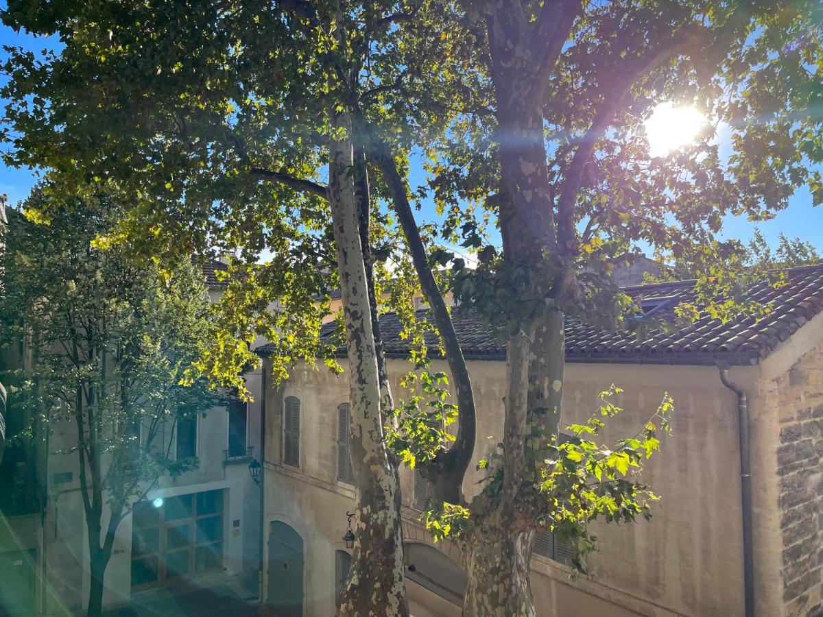 Suitetrails - La charmante et le duplex du Palais des Papes
