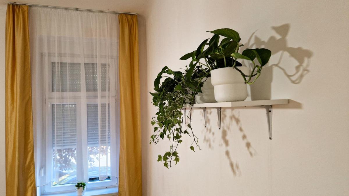 PEARL Apartman - Housity