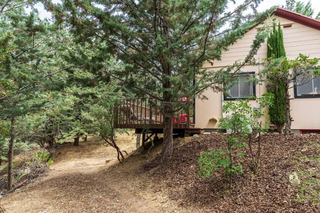 Historical Cabin in Julian Pet's okay! - Housity