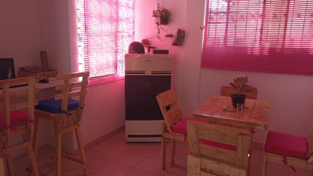 Cat family lodging - Housity