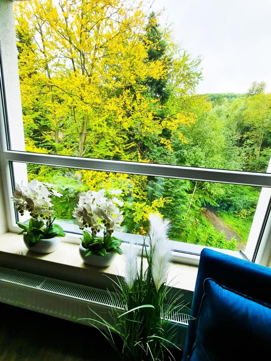 Apartament Kurort Kozubnik Wilcza Wataha - Housity