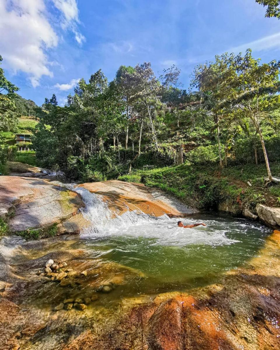 Pura vida glamping - Housity