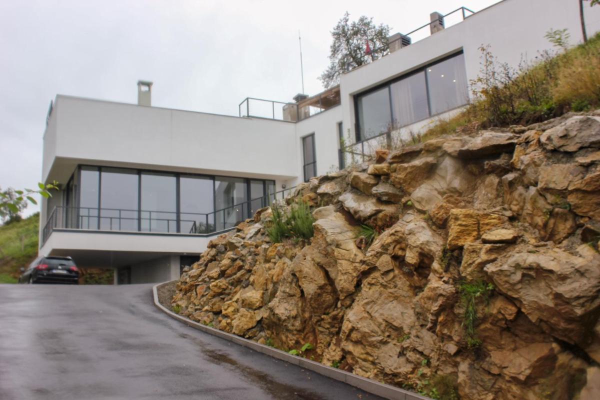 Villa Wineyard - VinoGrad - Housity