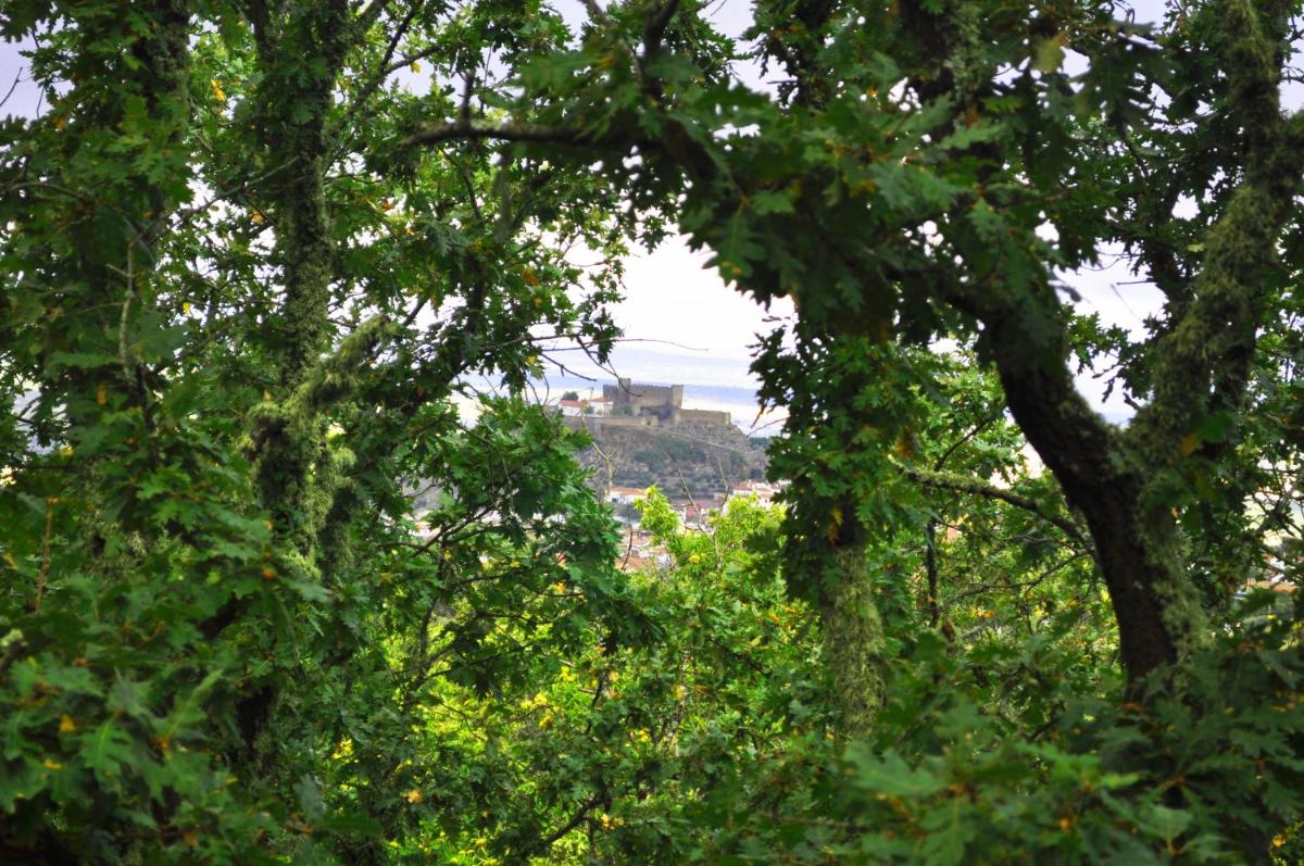 Casa Rural Margarita II - Housity