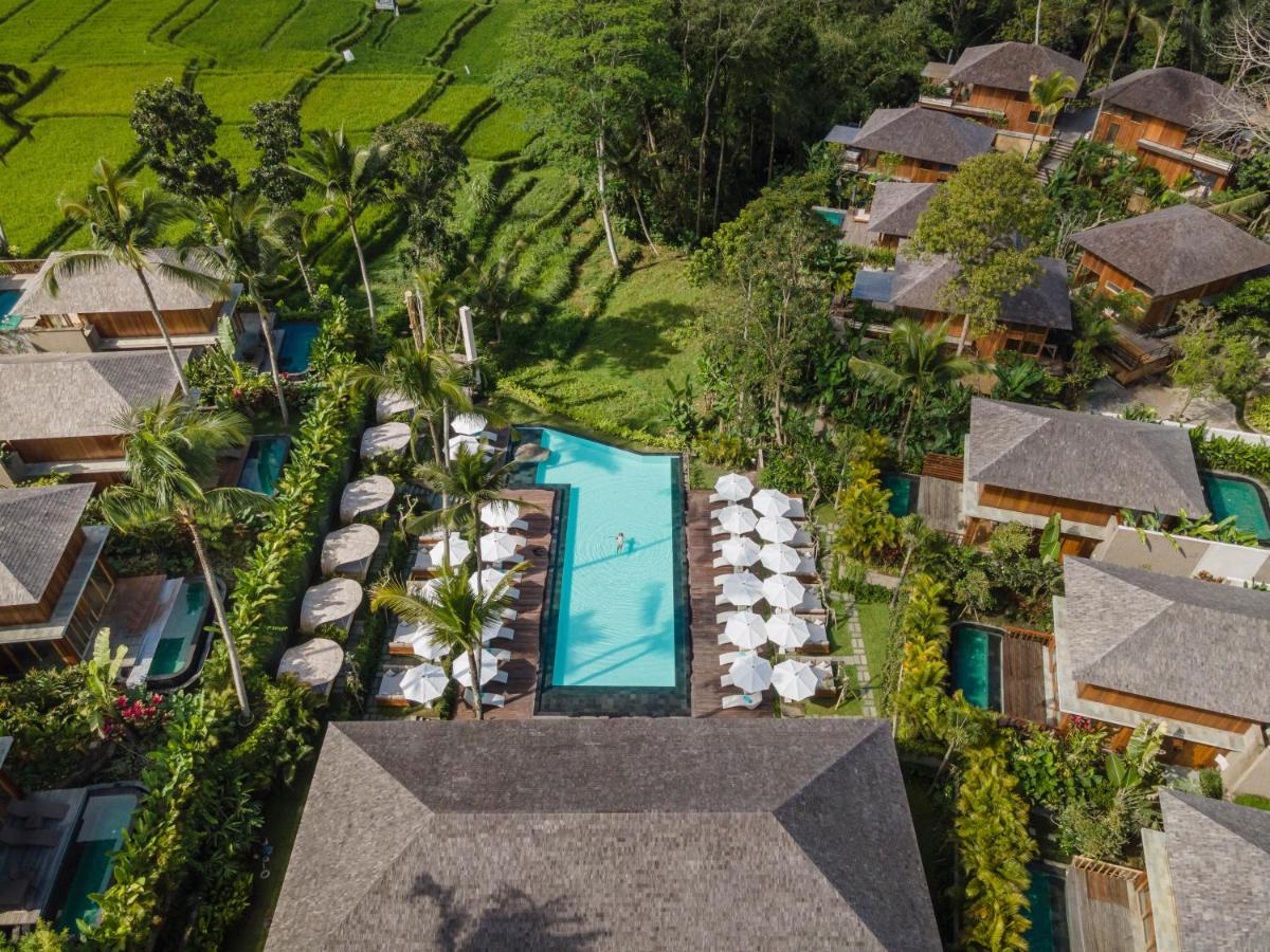 Kappa Senses Ubud - Housity