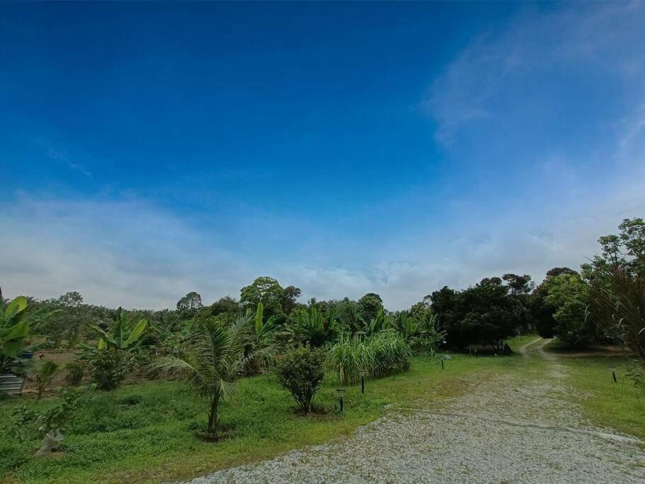 Fruity Garden, Kota Tinggi by Antlerzone - Housity