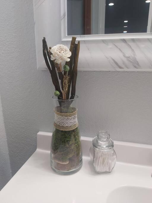 Torres Tiny Home Midtown WestTampa RJS - Housity