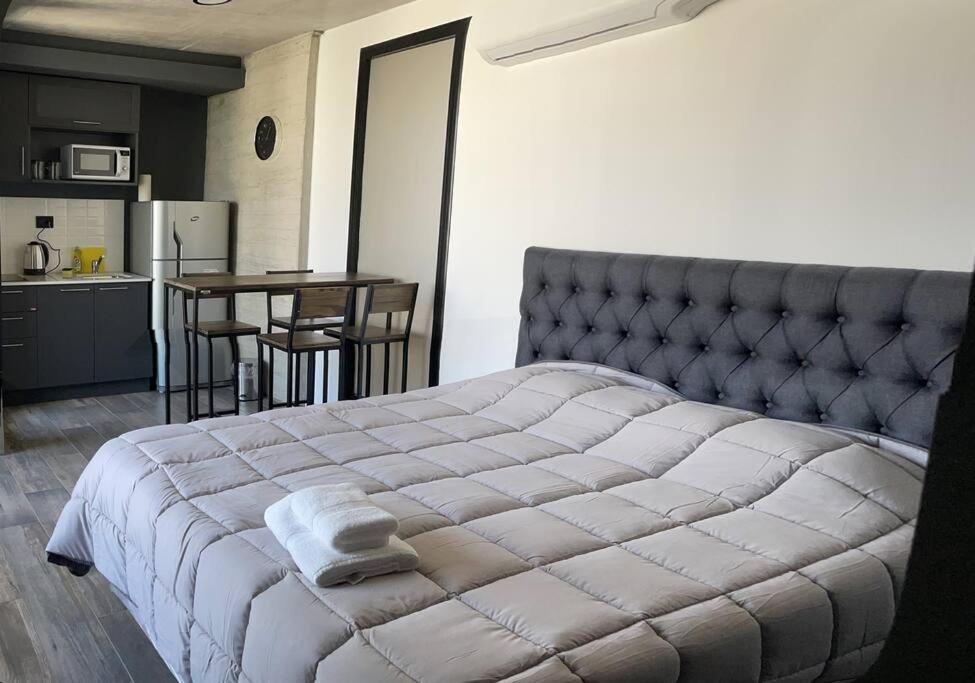 Hermoso monoambiente zona centro Rosario - Housity