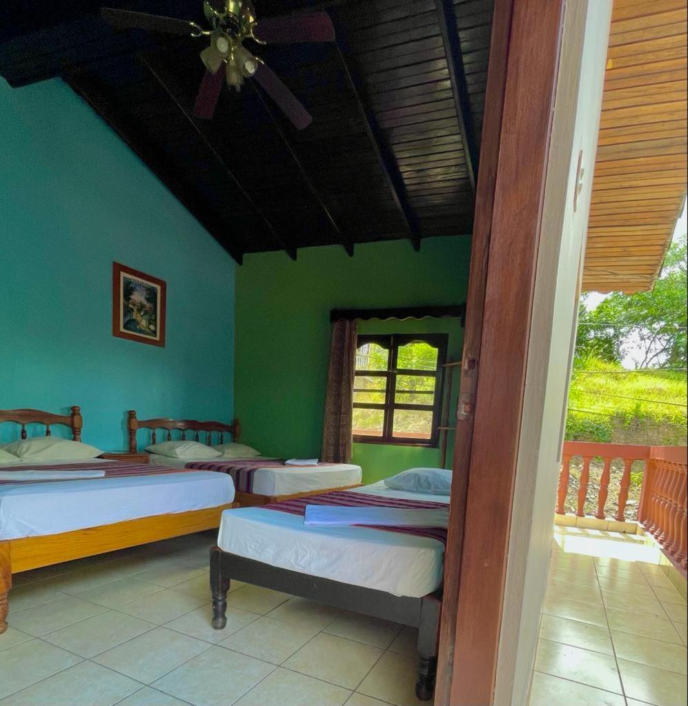 Hotel Rosalila - Housity