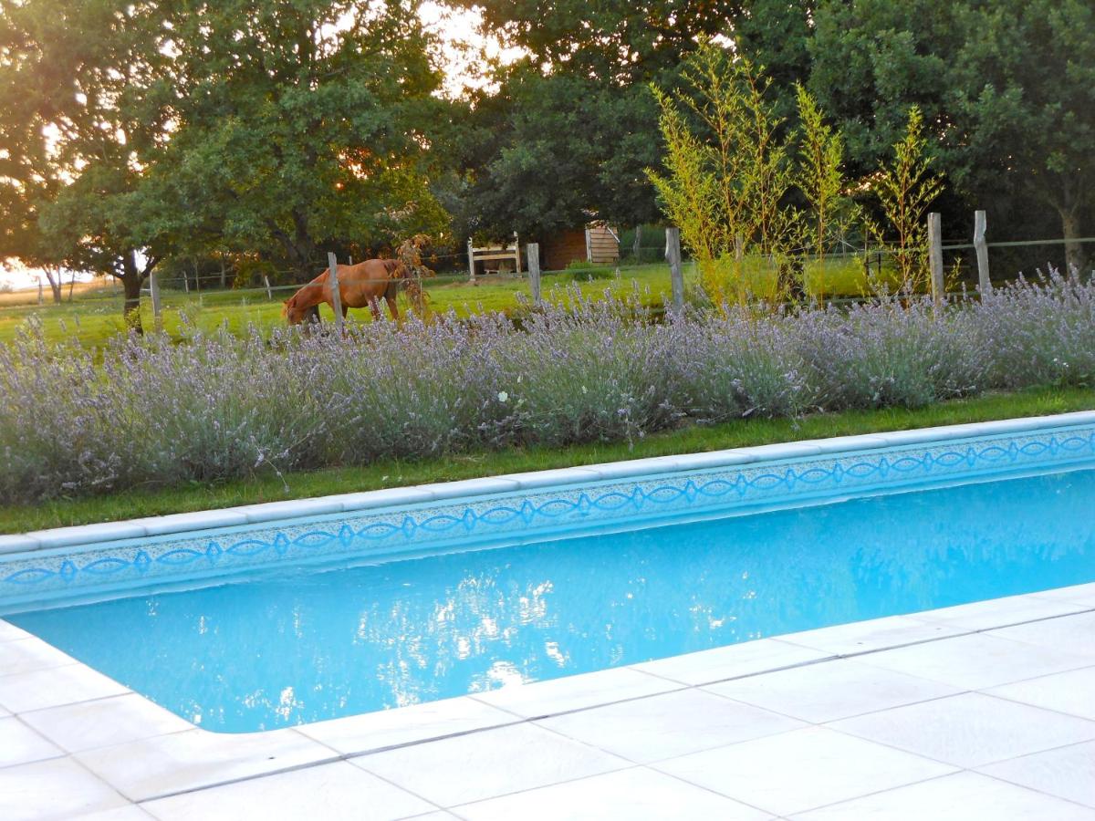 Auberge de la Tuilerie - Housity