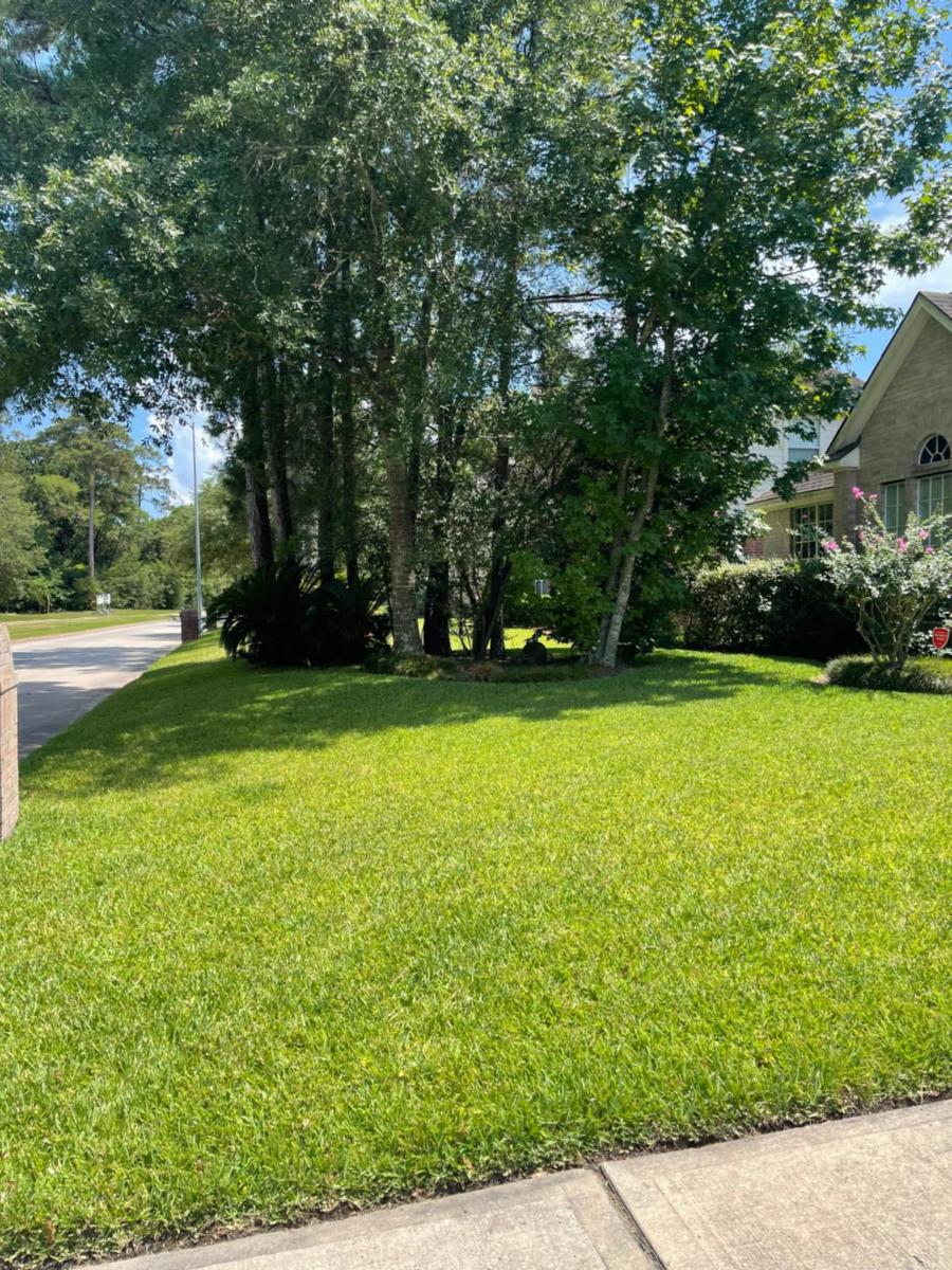 Unwind and Relax 4 Bedroom Stay - Housity