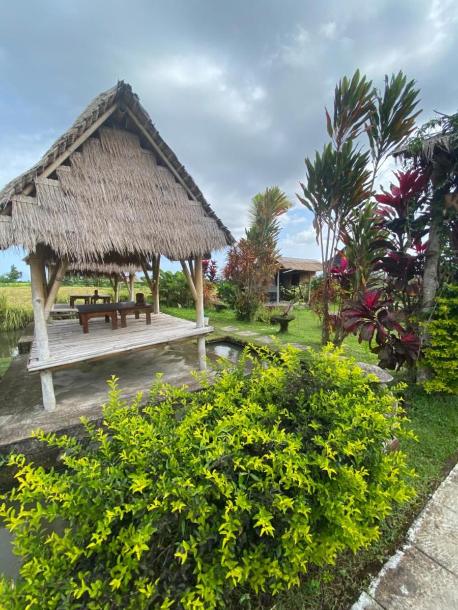 Kubu Bakas Guest House - Housity