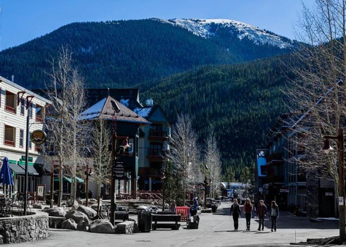 Slopeside by Summit County Mountain Retreats - Housity