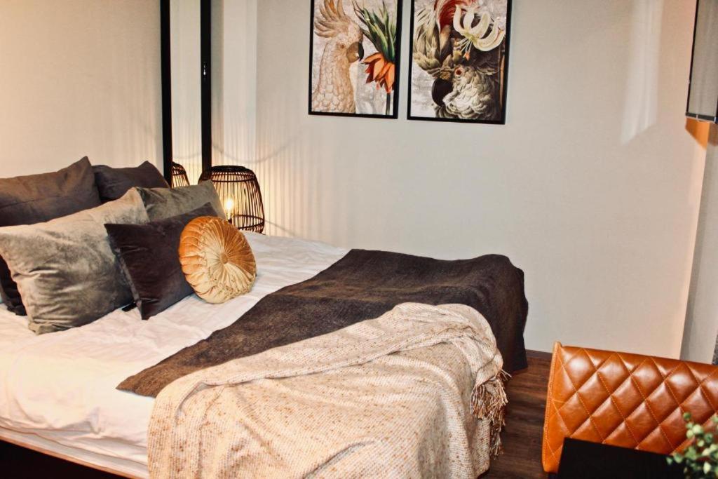 Suitetrails - Cozy Studio Apartment in the Heart of Reykjavík