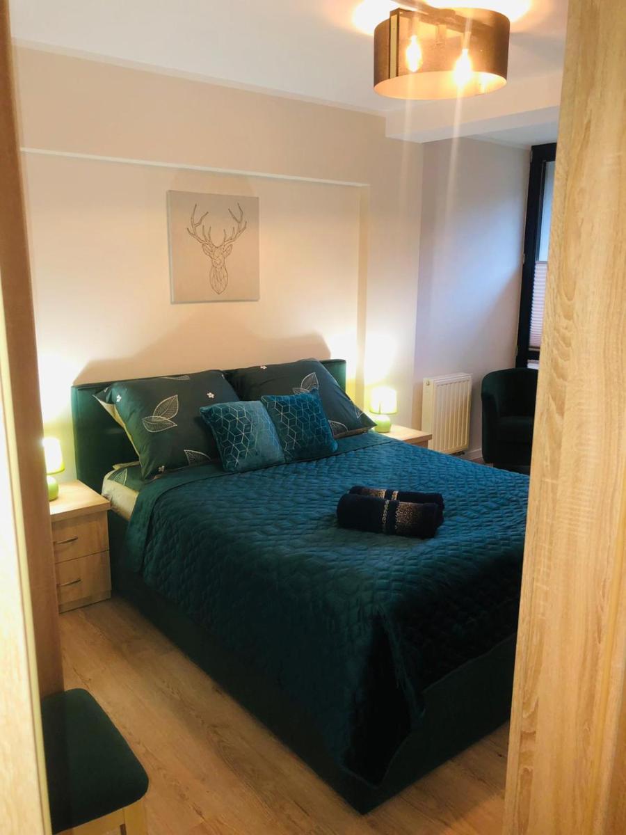 Apartament Bajka - Housity