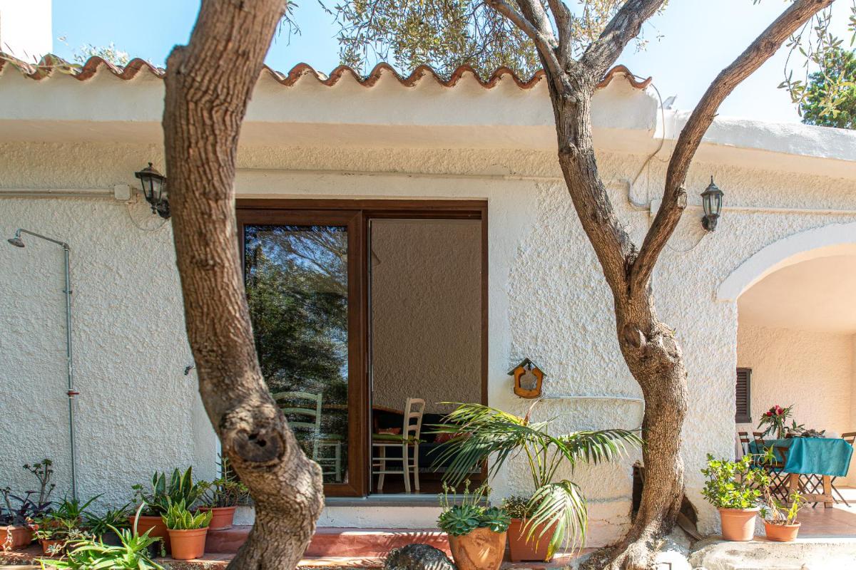 Lilly - Lovely small Villa among Olive Trees - Housity