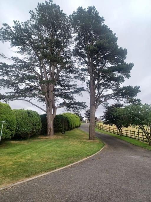 Suitetrails - Loughview Retreat in the Mournes