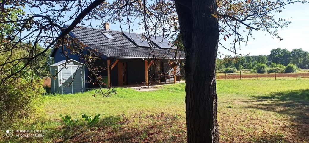 OJRZEŃ - Housity