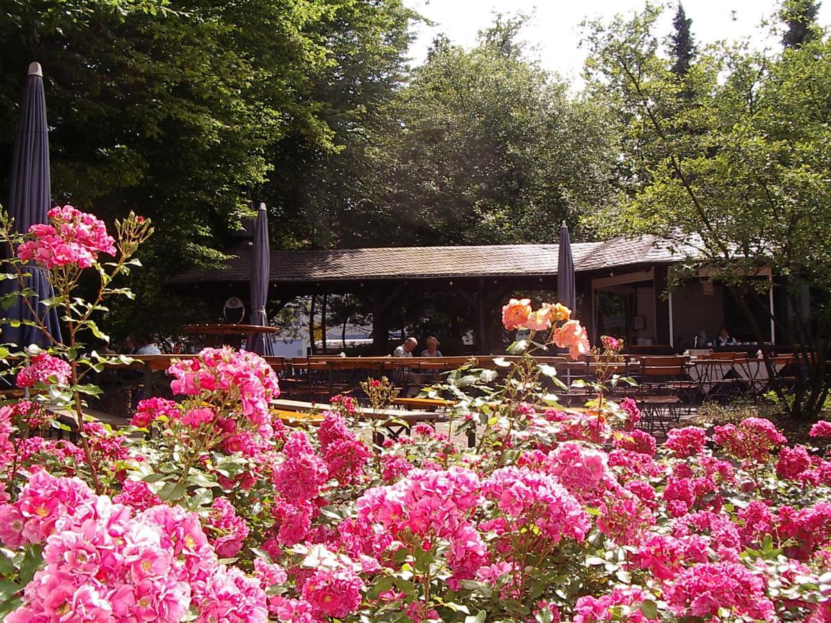 Hotel Bitburg - Housity