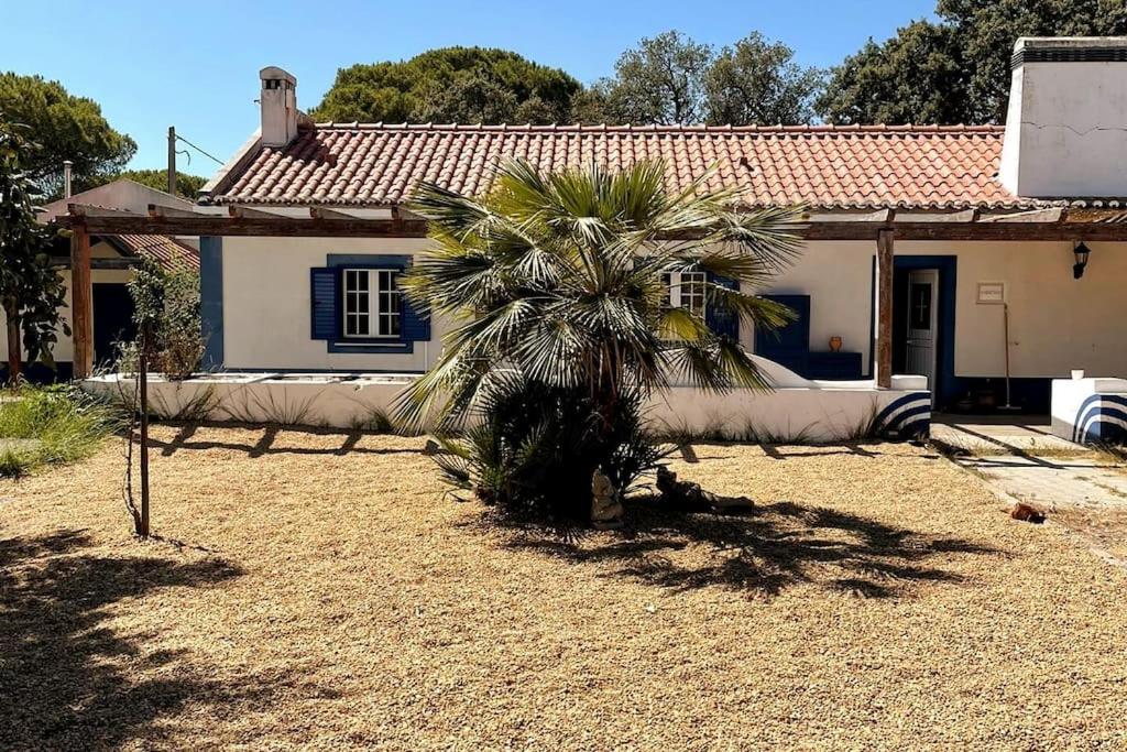 A comfortable farmhouse on 4 hectares in Melides - Housity