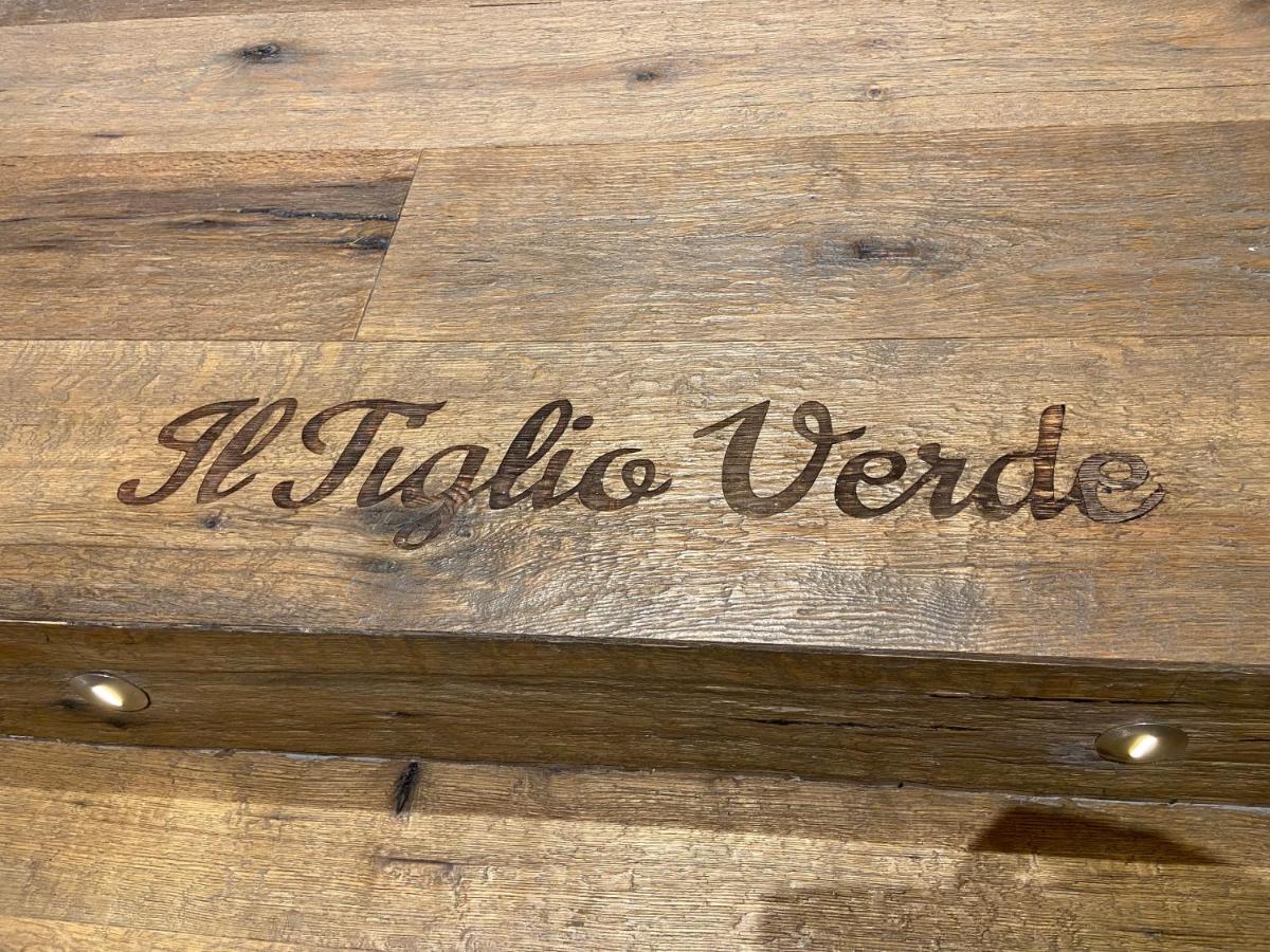 IL TIGLIO VERDE - Housity