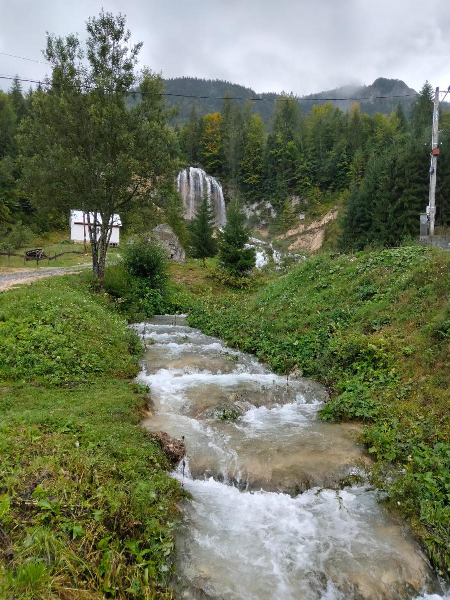 Deea Cascada - Housity