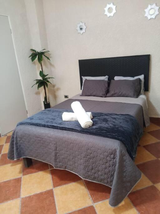 Bonito Loft Dto. E - Housity