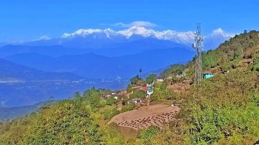 Pine Hill Homestay - Housity