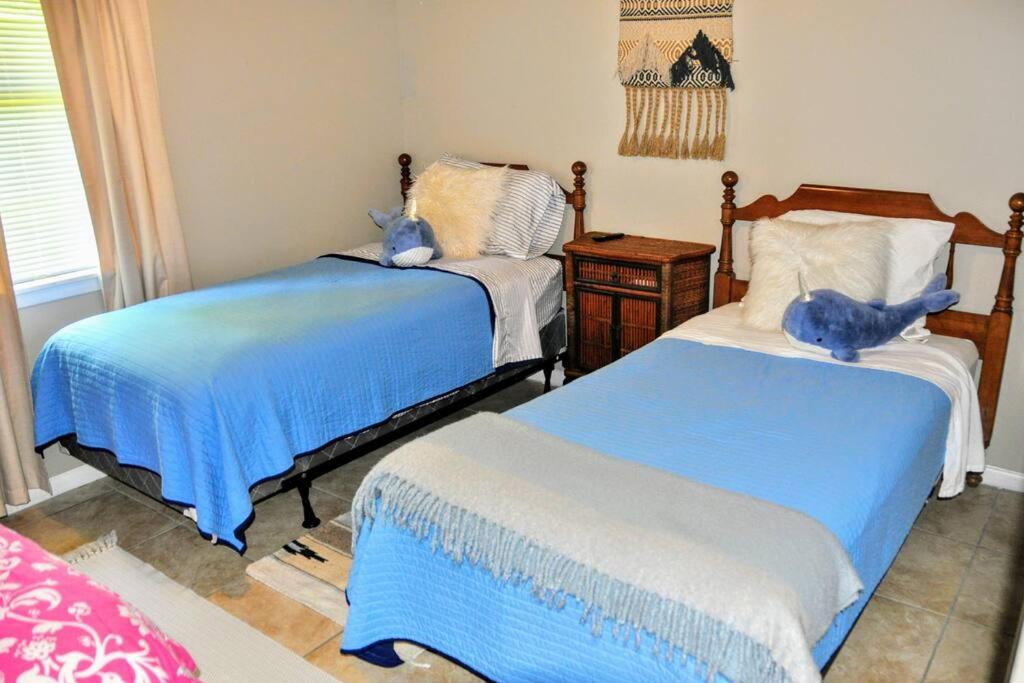 BLACK FRIDAY SPECIAL 100 dollar OFF 1000 STAY,50 OFF 500 STAY OR 25 OFF 250 STAY - Housity