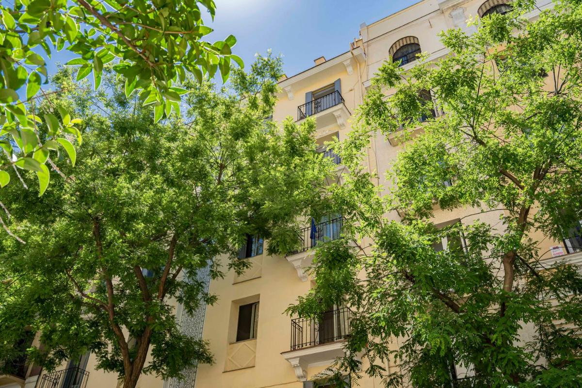 Quiet and cosy flat in N. Salamanca - Housity