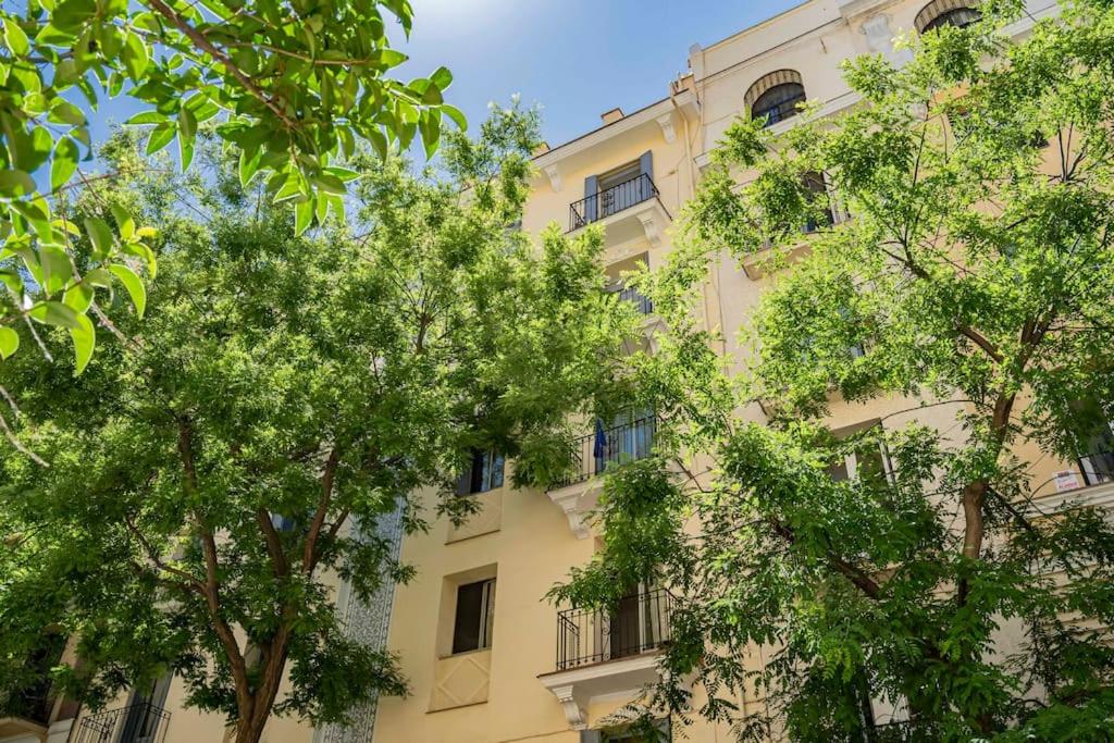 Quiet and cosy flat in N. Salamanca - Housity