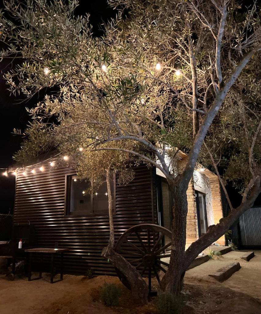 Casa Barta Valle de Guadalupe - Housity