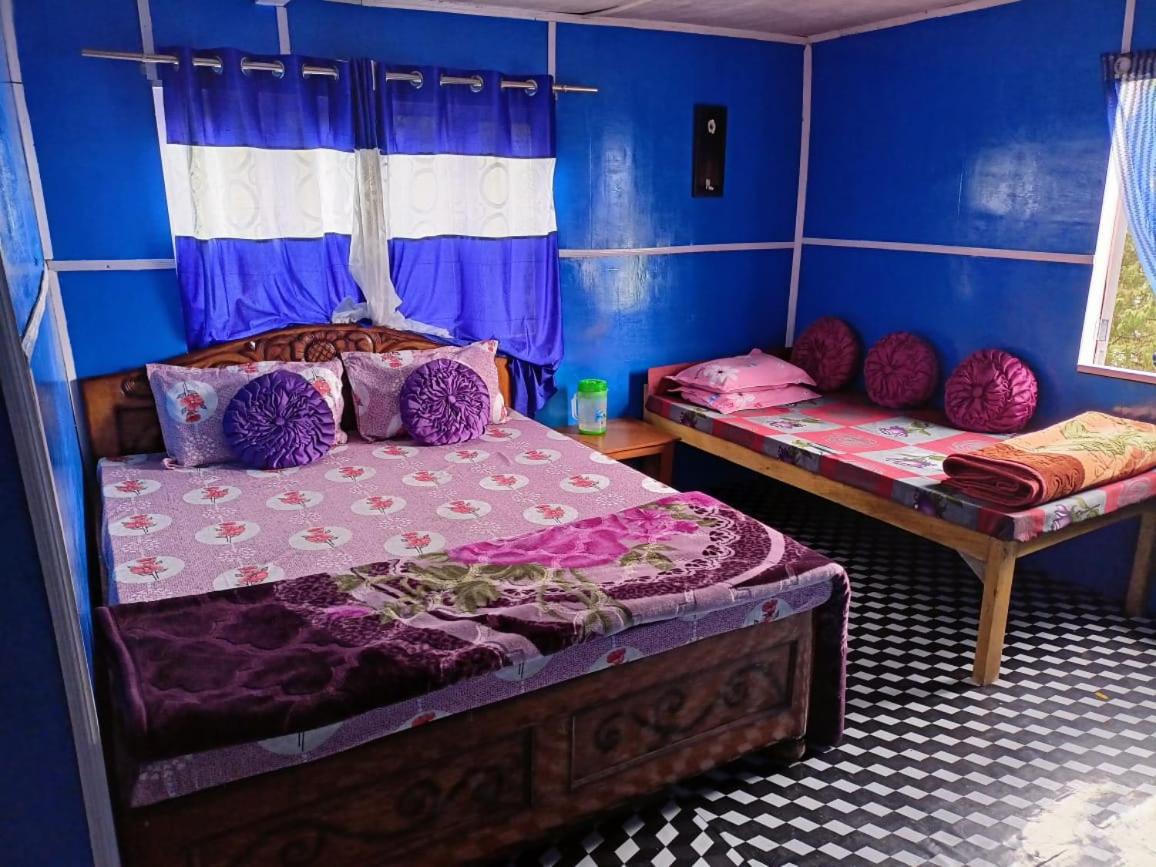 Pine Hill Homestay - Housity