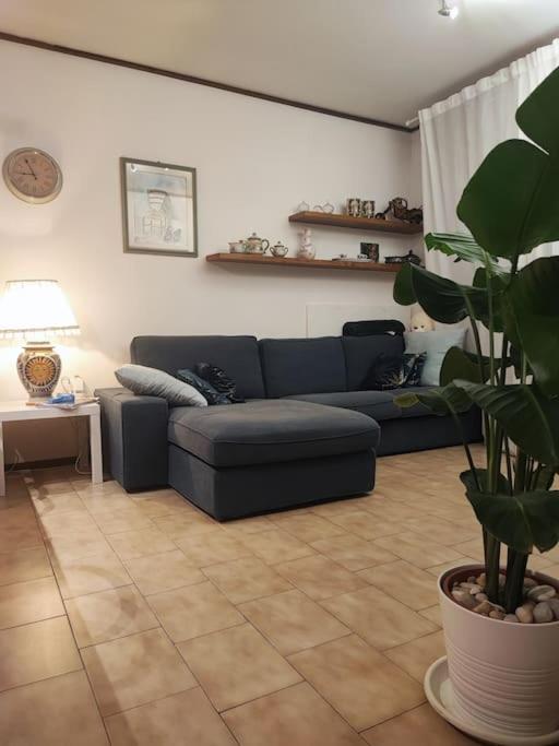 Appartamento Mare e Monti a Marina di MASSA - Housity