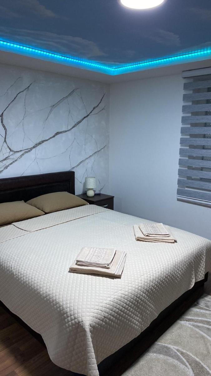 Pro Arte 2 - Housity