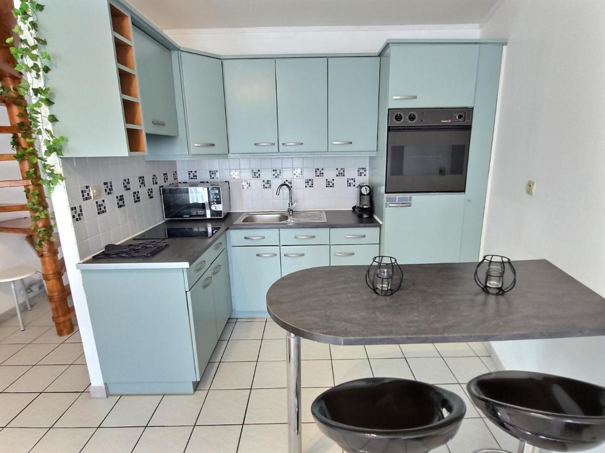 Duplex Le Cachou : 10 min Aéroport de Roissy CDG - Astérix - Paris - Housity