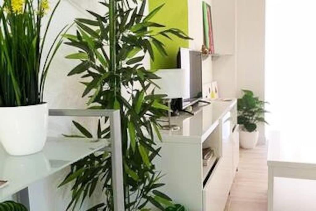 Apartamento Modern OscVict en Murcia - Housity