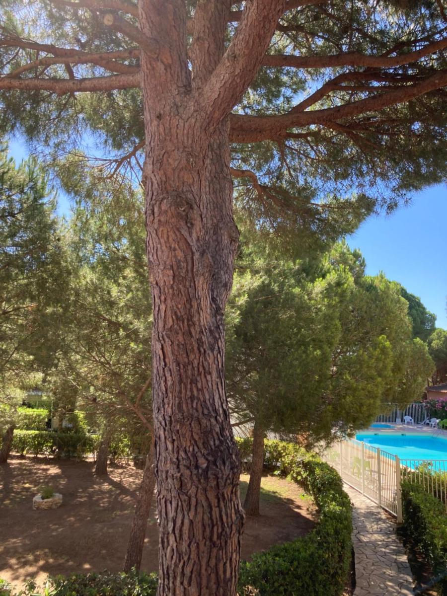 Appartement vue Piscine sous les Pins - Housity