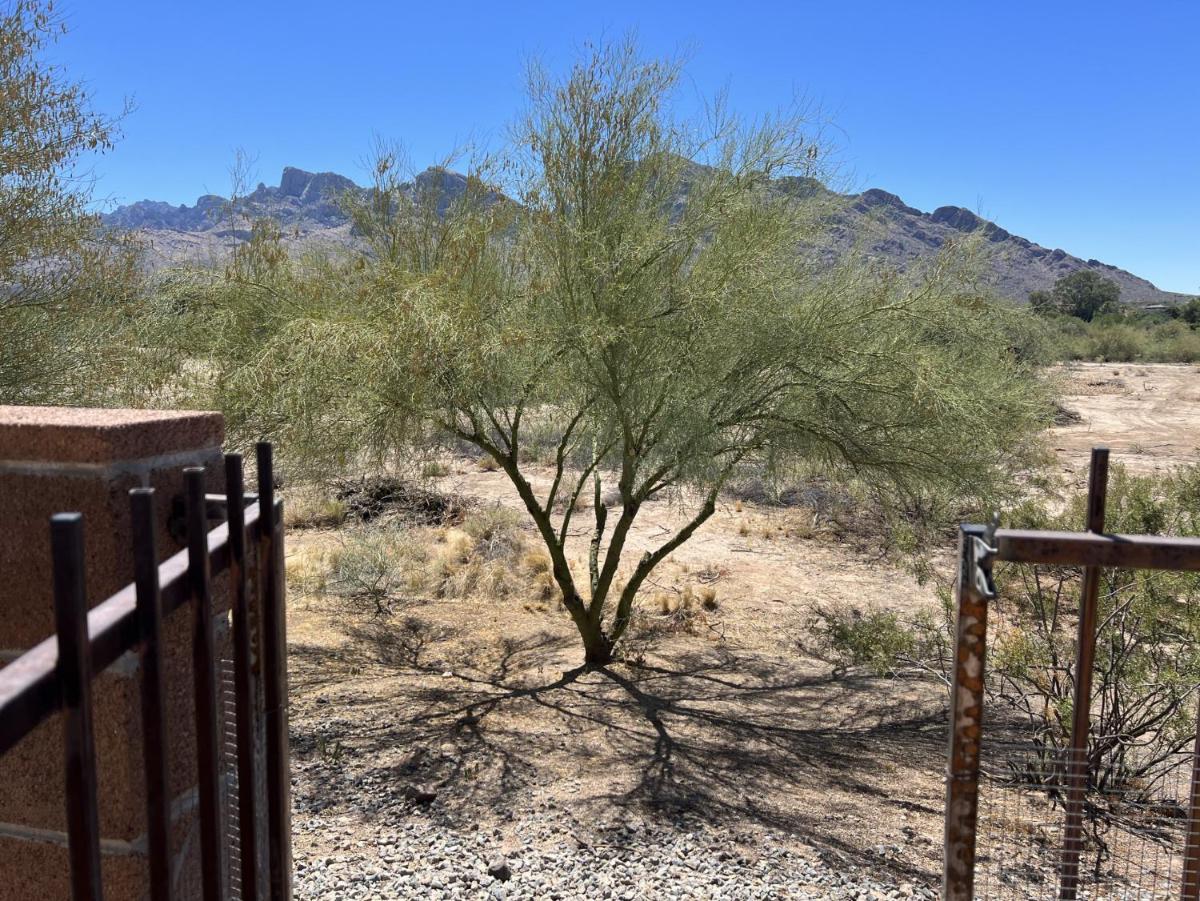 The Desert Oasis at #LambertPark Tucson - 4BD + Unobstructed Mountain Views - Housity