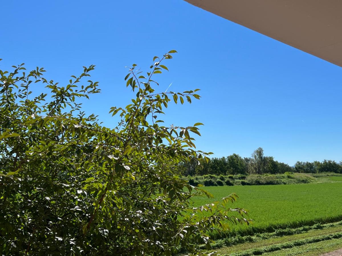 Appartamento confortevole, silenzioso con vista, centro raggiungibile a piedi come i ristoranti - Housity
