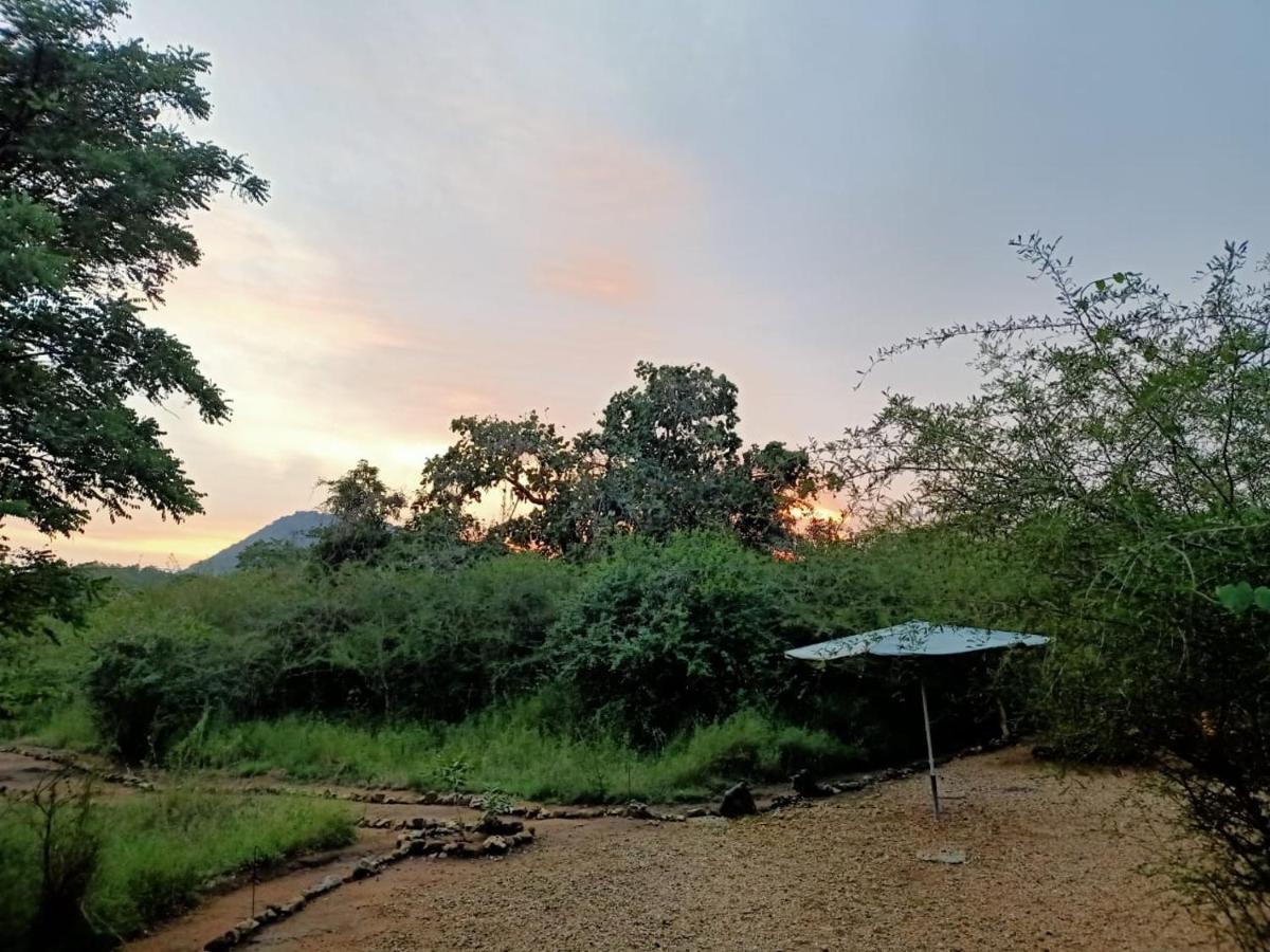 Kele Yala - Housity