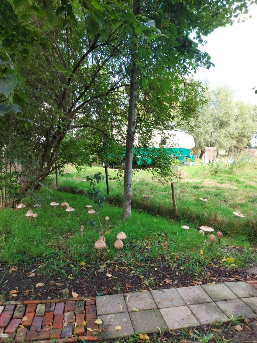 Suitetrails - Bij grenspaal 243
