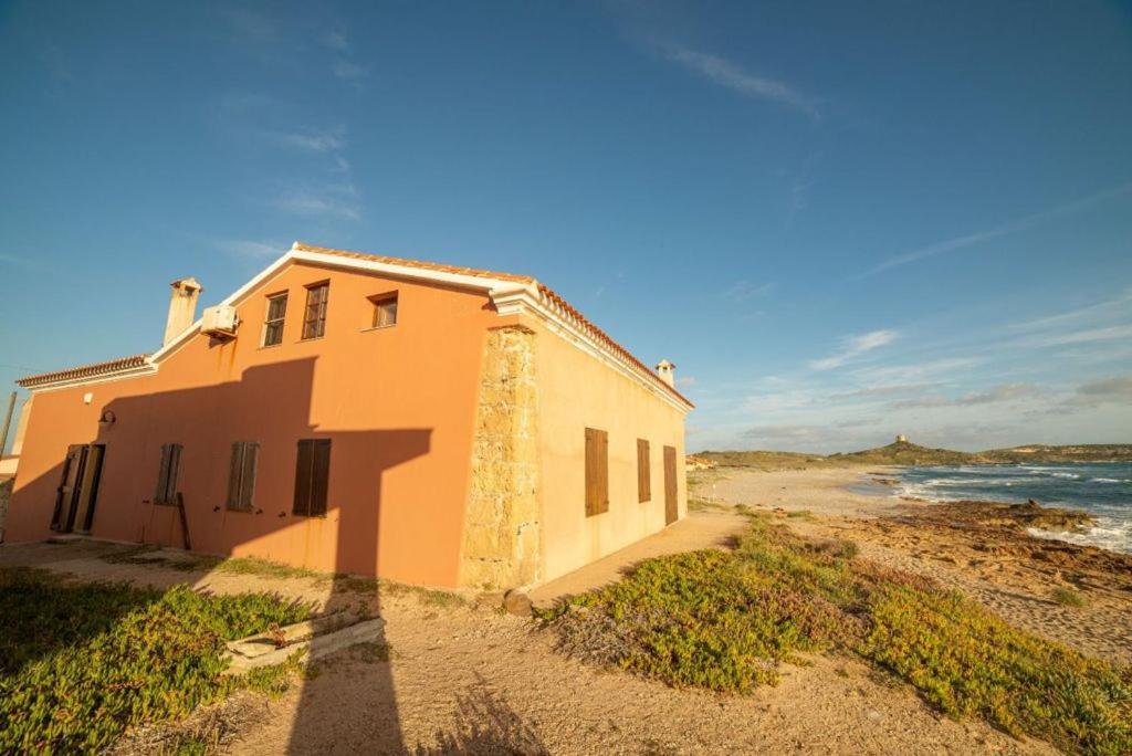Caretta House - Housity