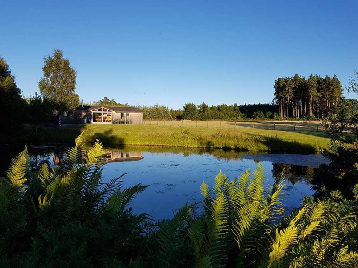 Fern Lodge - Luxury Lodge with steamroom in Perthshire - Housity