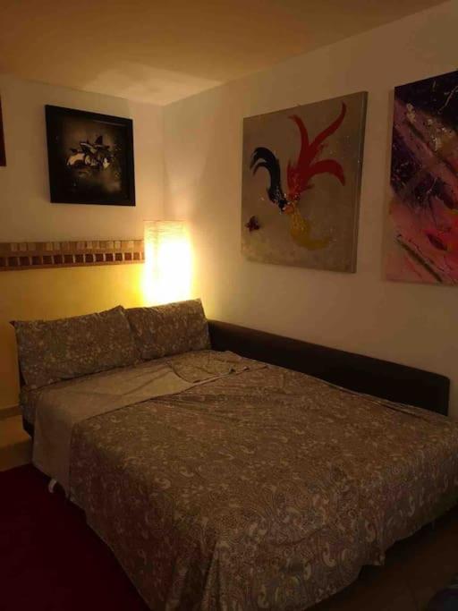 Adorabile tavernetta con piscina - Housity