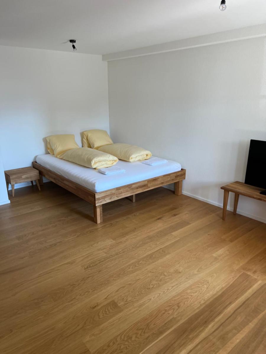 STUDIO JOHN Interlaken - Housity