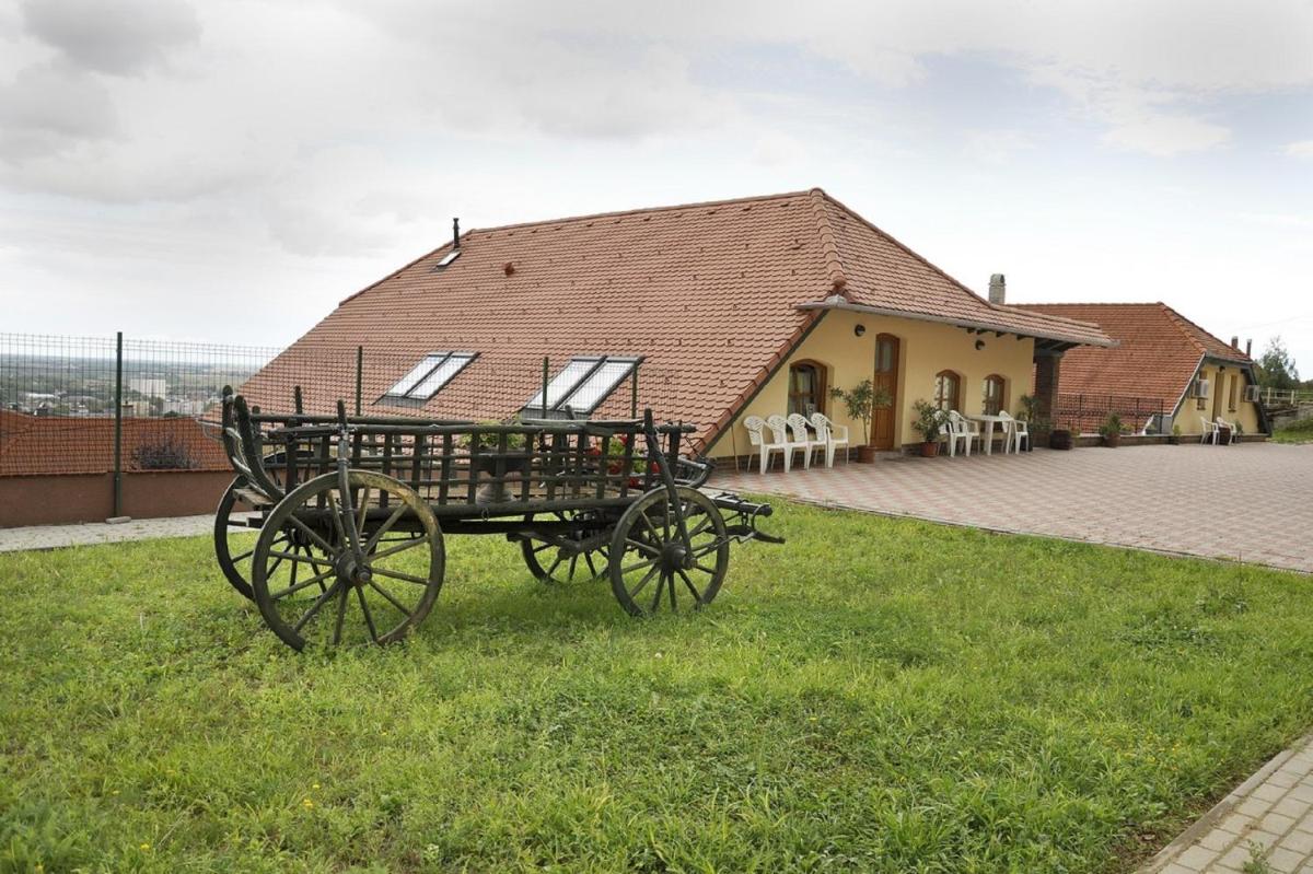 Sárosdi Pince és Panzió - Housity