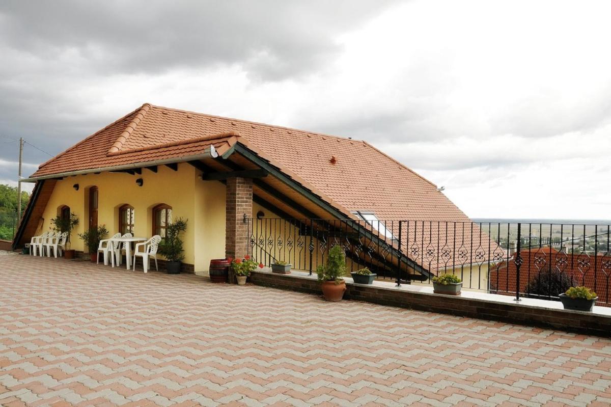 Sárosdi Pince és Panzió - Housity